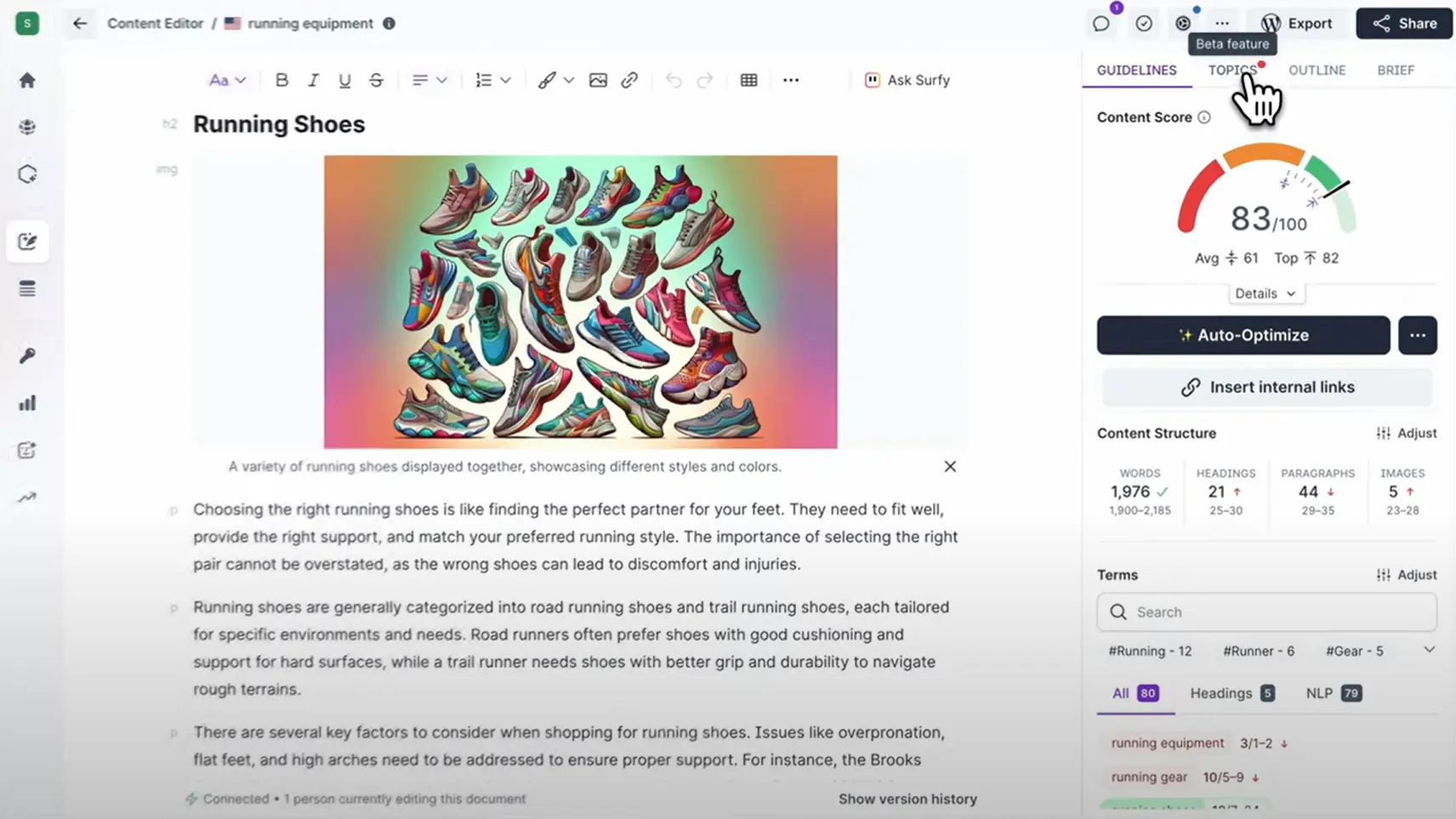 interface Surfer SEO