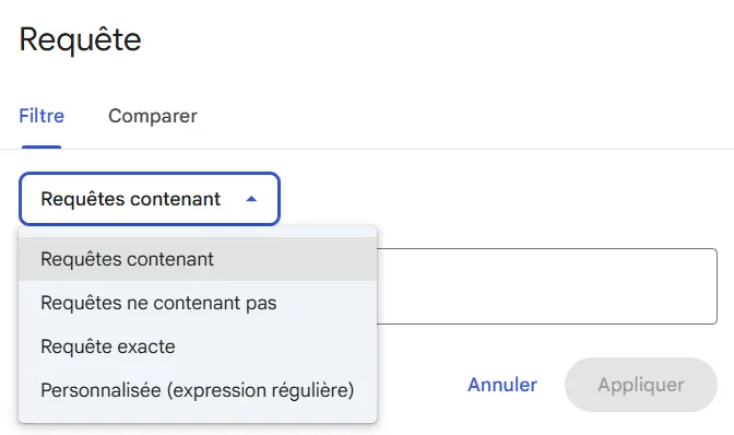 Filtres requêtes Google Search Console